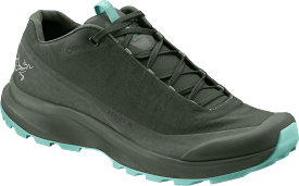 Aerios FL GTX Hiking Shoe - Women's