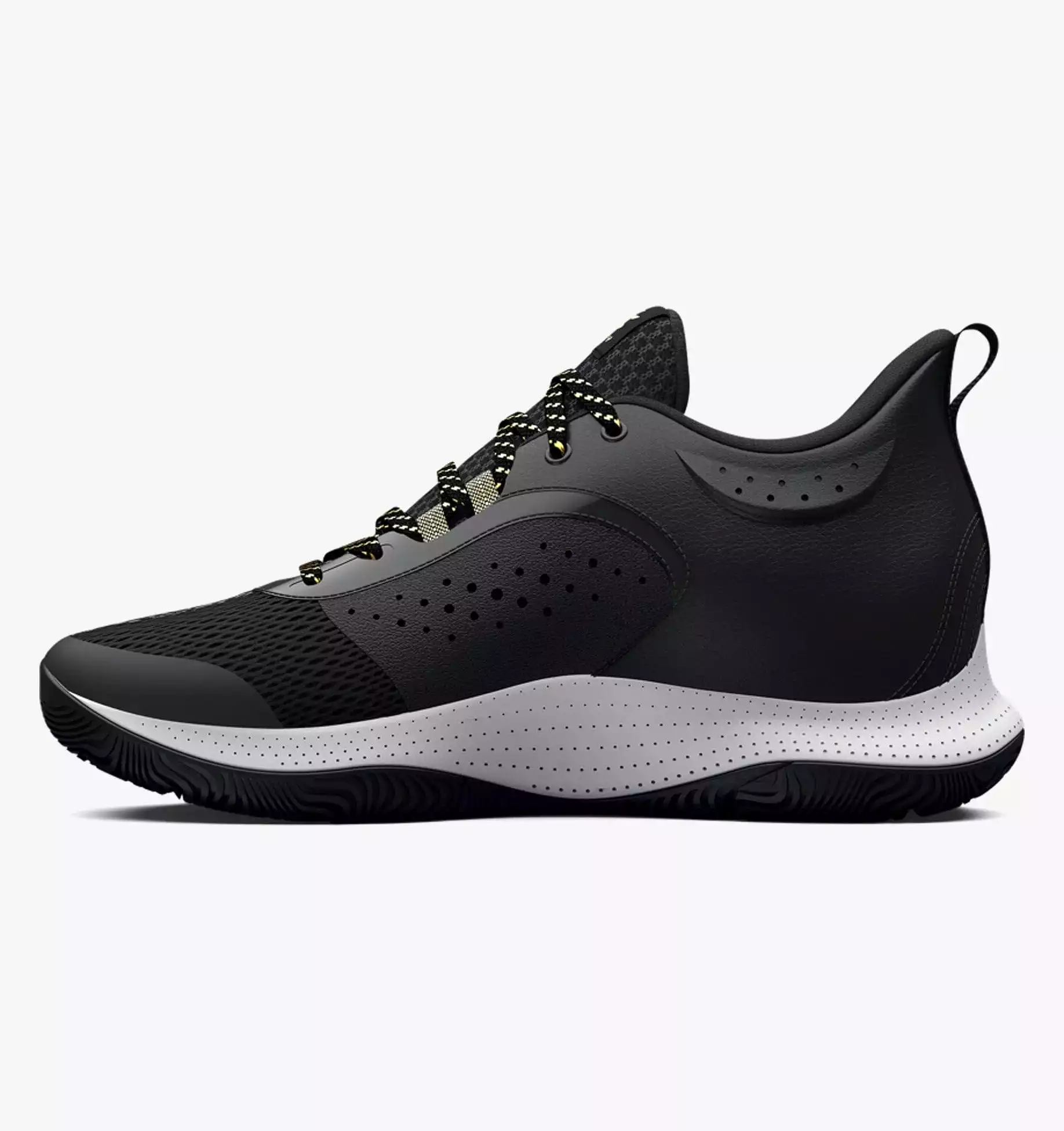 Curry 3Z6 Basketball Shoes