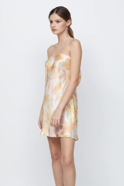 Floral Haze Indi Strapless Mini Dress