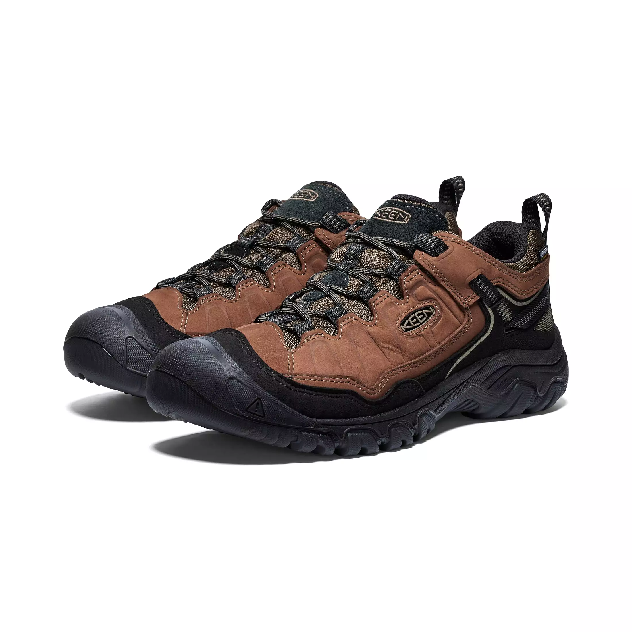 Men's Targhee IV Waterproof Hiking Shoe